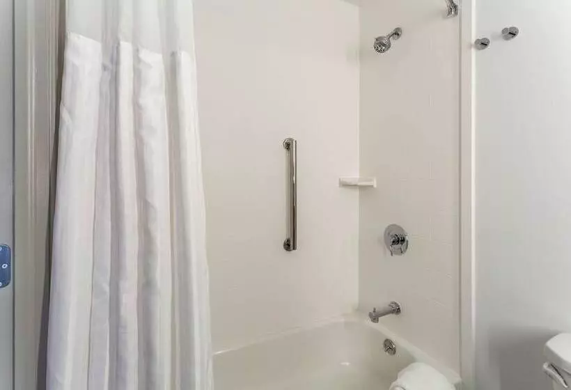 ２ダブルベッドのスタンダードルーム, Hilton Garden Inn Chicago North Shore / Evanston