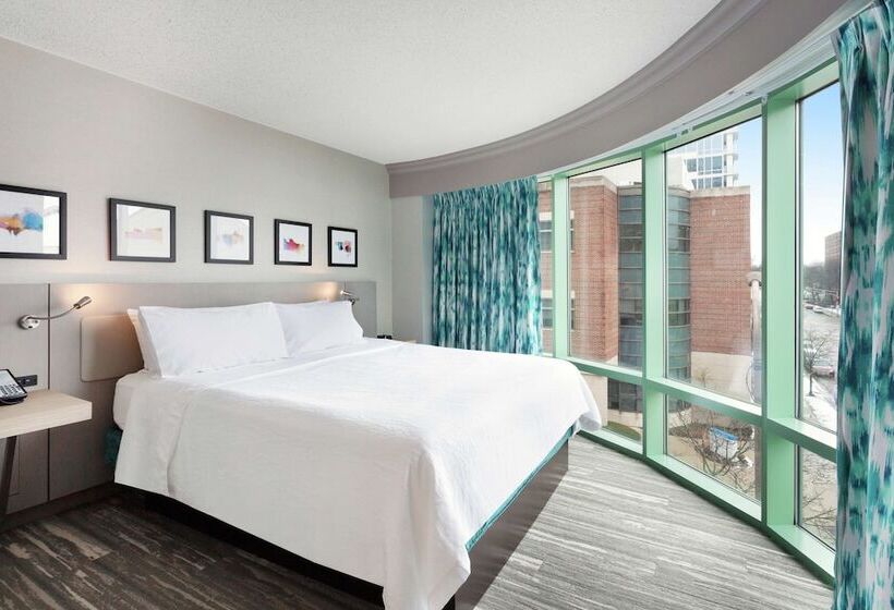جناح جونيور, Hilton Garden Inn Chicago North Shore / Evanston
