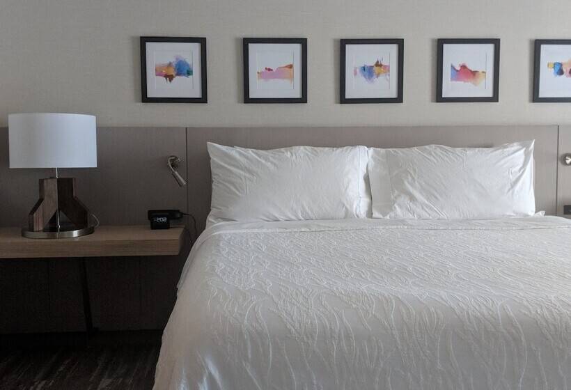 جناح جونيور, Hilton Garden Inn Chicago North Shore / Evanston