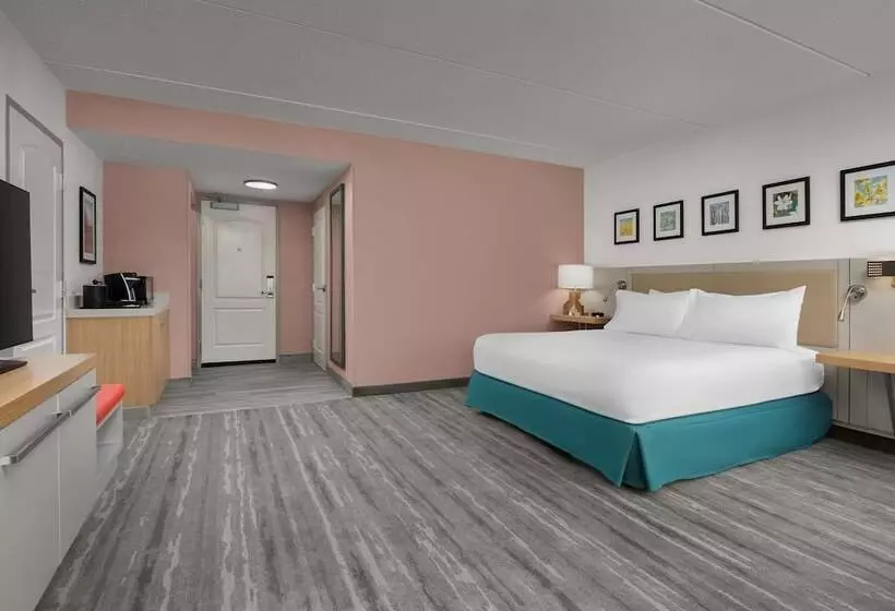 اتاق استاندارد با تخت بزرگ برای معلولان, Hilton Garden Inn Greensboro