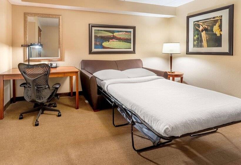 ジュニアスイート, Hilton Garden Inn Houston/the Woodlands