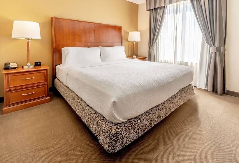 身障者適用スタンダードルーム, Hilton Garden Inn Houston/the Woodlands