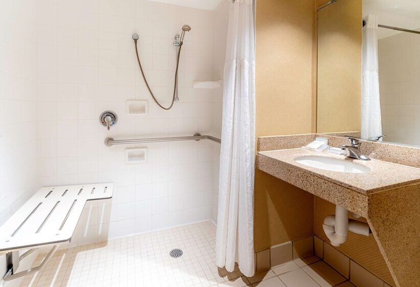 Engelliler için Standart Oda, Hilton Garden Inn Houston/the Woodlands