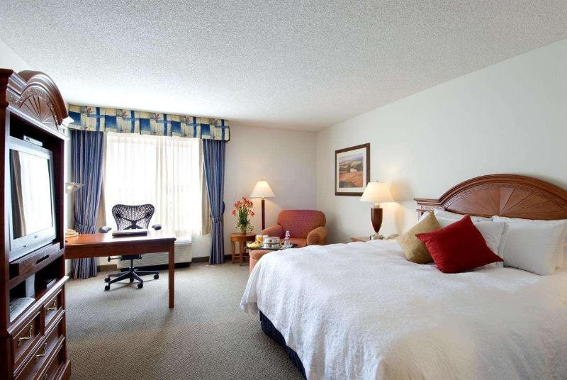 キングサイズベッドのスタンダードルーム, Hilton Garden Inn Tulsa Airport