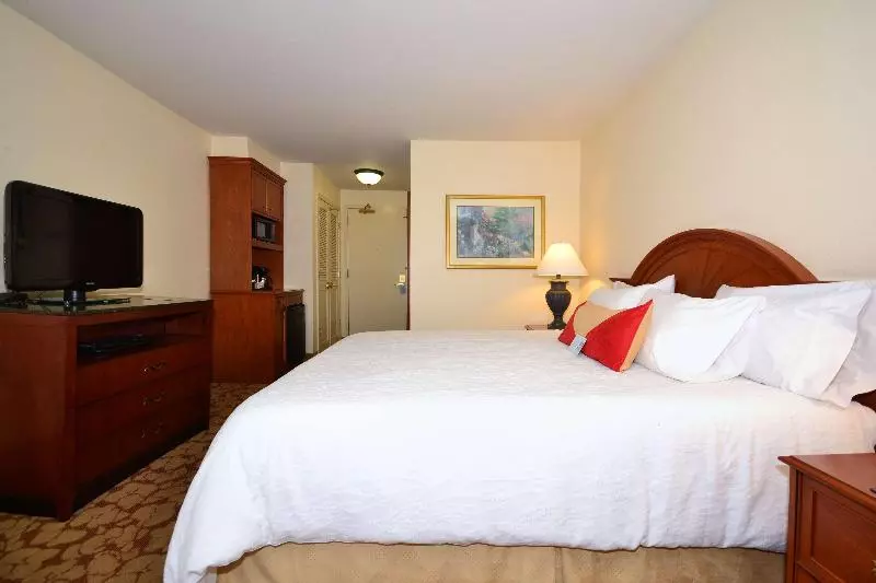 اتاق استاندارد با تخت بزرگ, Hilton Garden Inn Tulsa Airport