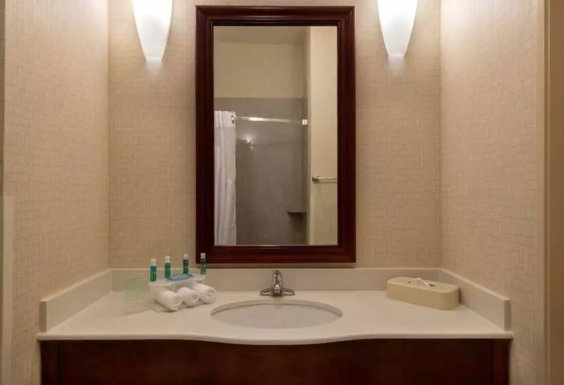 スイート, Holiday Inn Express Hotel & Suites Los Angeles Airport Hawthorne, An Ihg