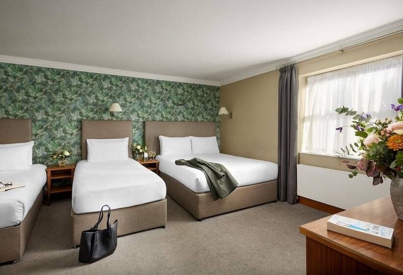 스탠다드 트리플 룸, Springfield