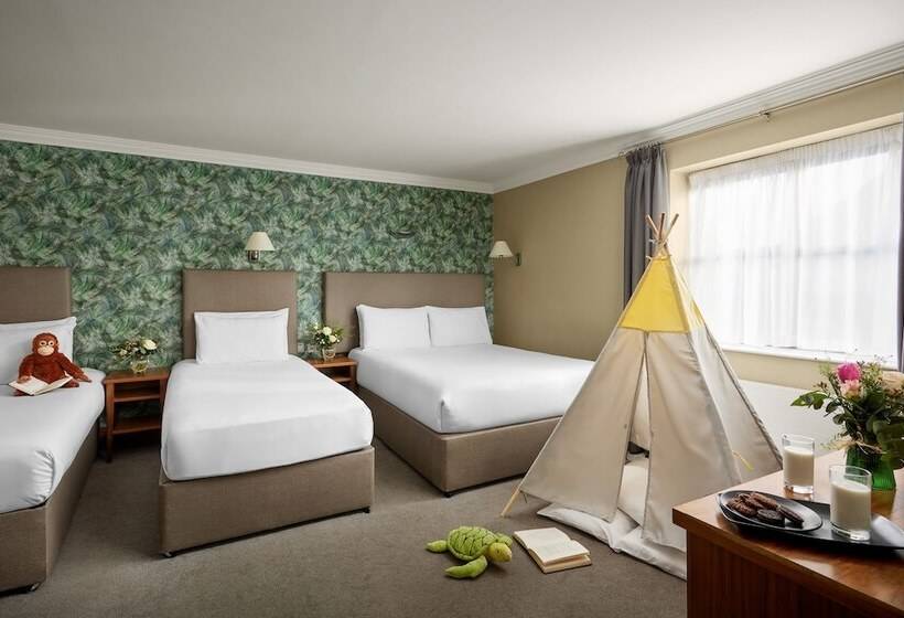 패밀리 룸, Springfield