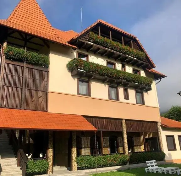 スタンダードルーム, Villa Gherman