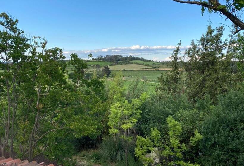 スタンダードルーム, Nuitées Bohèmes