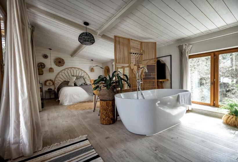 スタンダードルーム, Nuitées Bohèmes