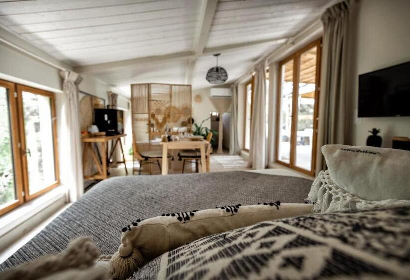 スタンダードルーム, Nuitées Bohèmes