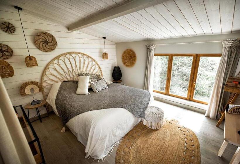 スタンダードルーム, Nuitées Bohèmes