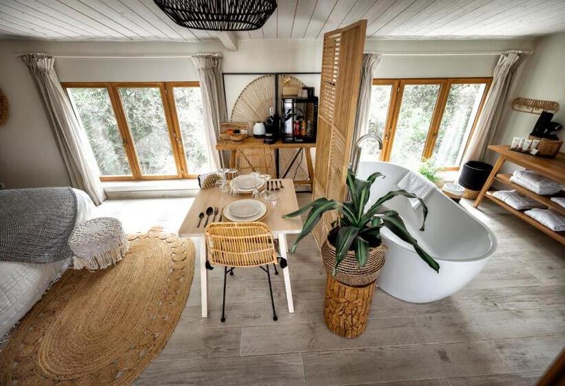 スタンダードルーム, Nuitées Bohèmes