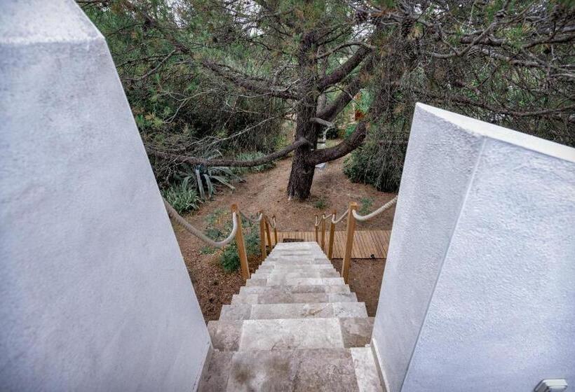 スタンダードルーム, Nuitées Bohèmes