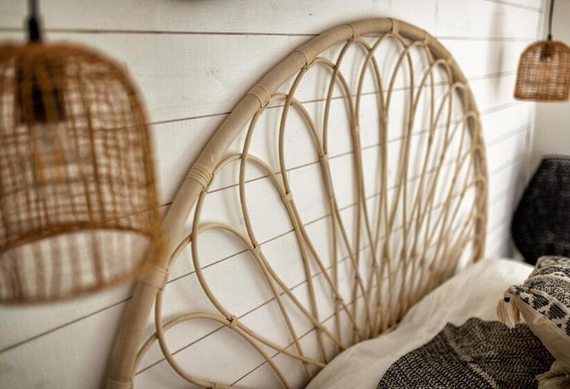 スタンダードルーム, Nuitées Bohèmes