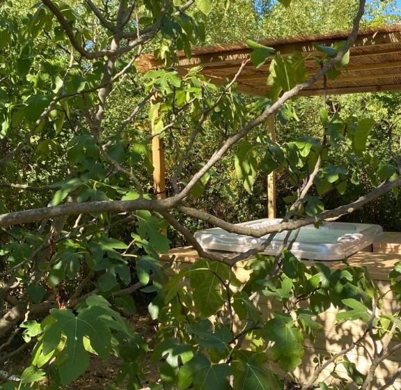 メゾネットスイート, Nuitées Bohèmes