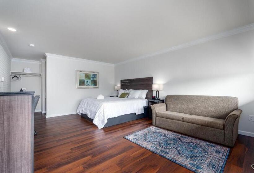 디럭스 스위트 킹 침대, Crewe Boutique Inn