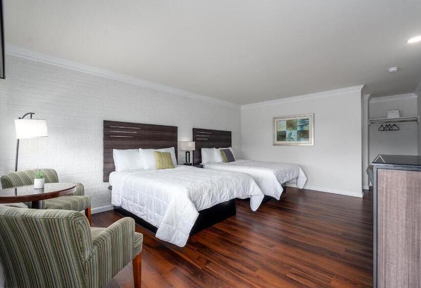 수피리어 룸, Crewe Boutique Inn