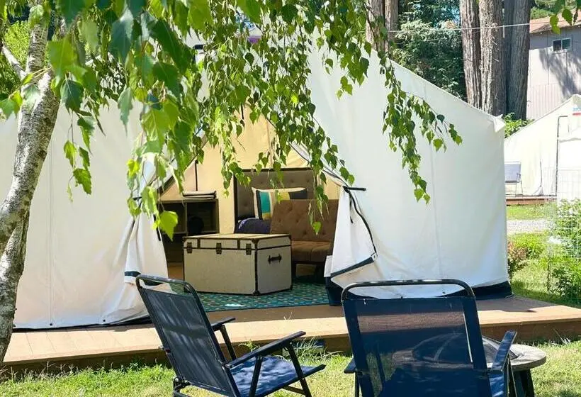 スタンダードスタジオ, Surrey Resort
