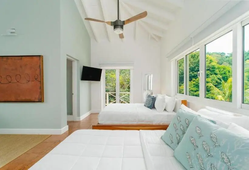 اتاق استاندارد با تراس, Blue Roatan Resort