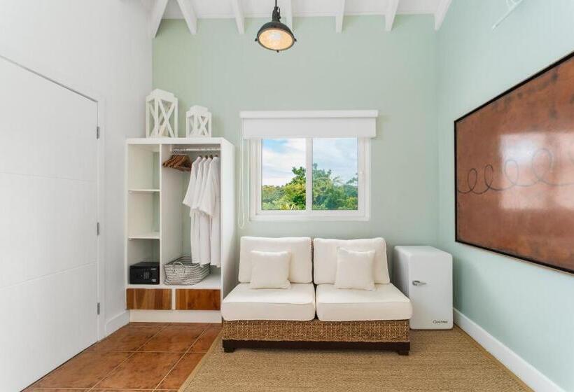 اتاق استاندارد با تراس, Blue Roatan Resort