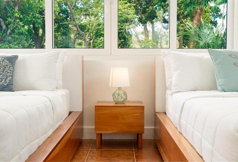 اتاق استاندارد با تراس, Blue Roatan Resort