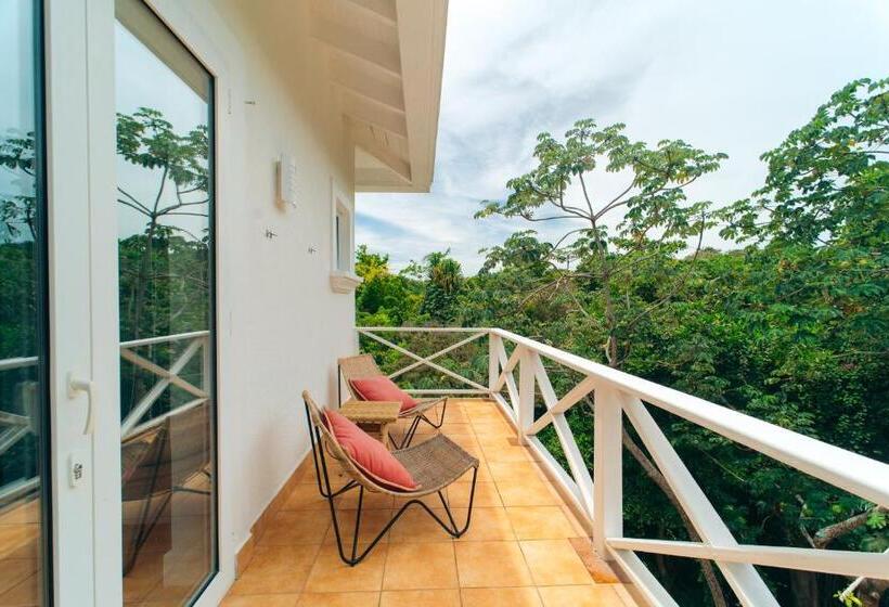 اتاق استاندارد با تراس, Blue Roatan Resort