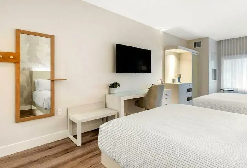 身障者適用キングサイズベッドルーム, Cambria Hotel Calabasas   Malibu