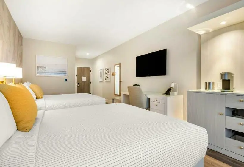 スタンダードルーム, Cambria Hotel Calabasas   Malibu