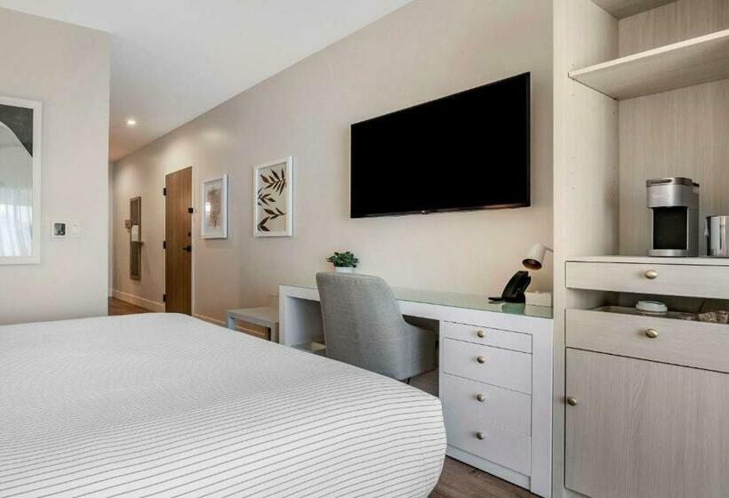 מיטת קינג בסוויטה, Cambria Hotel Calabasas   Malibu