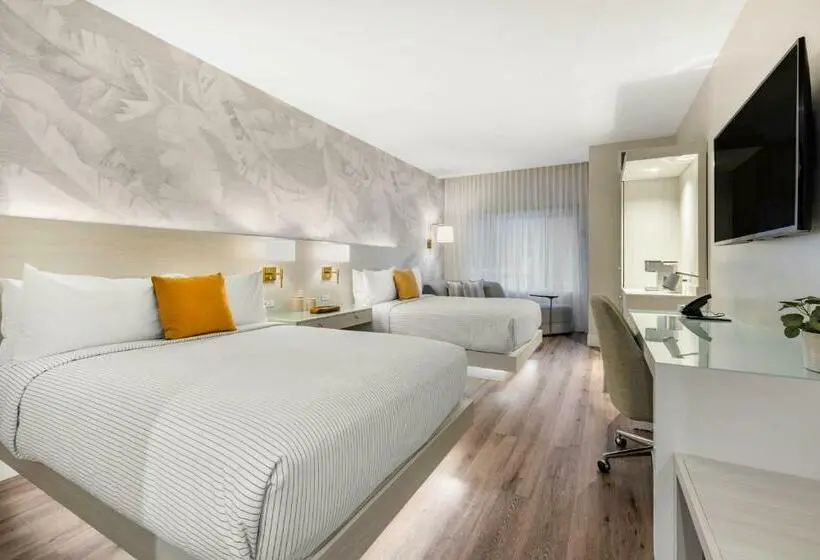 身障者適用スタンダードルーム, Cambria Hotel Calabasas   Malibu