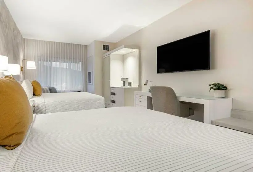 身障者適用スタンダードルーム, Cambria Hotel Calabasas   Malibu
