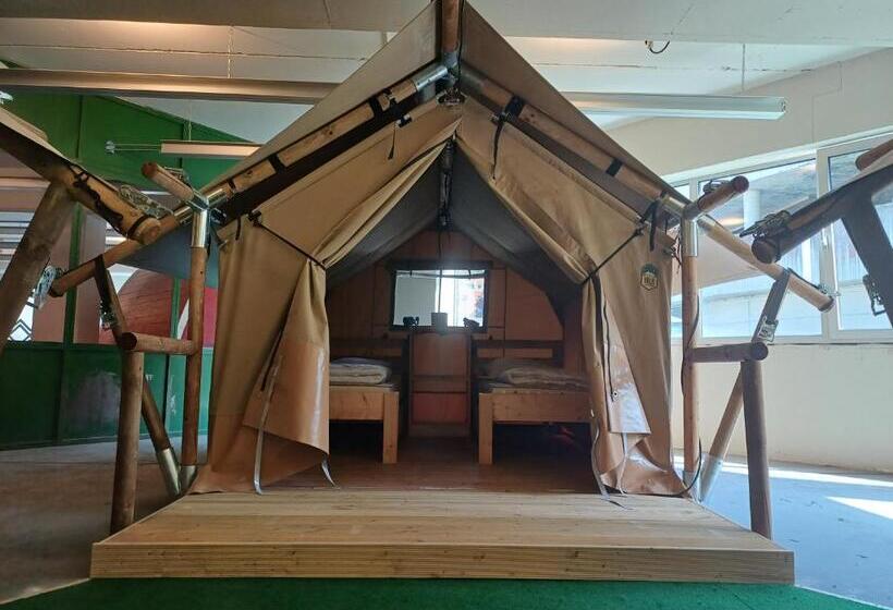 اتاق استاندارد, Daheim Triberg