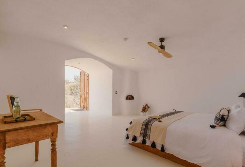 חדר סטנדרט עם טרסה, The White Lodge