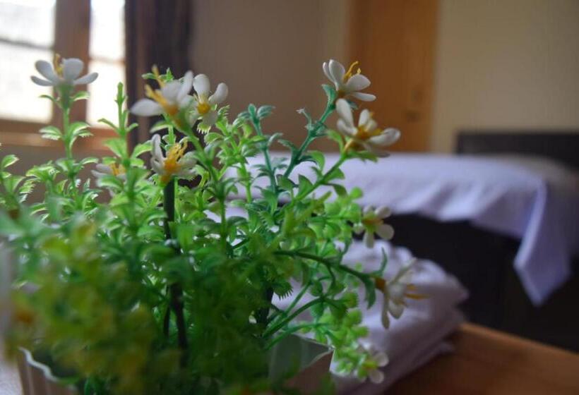 اتاق استاندارد, Chitral Green Guest House