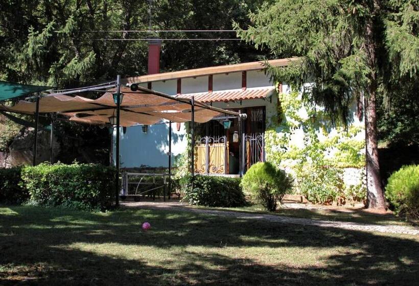 شقة غرفة واحدة, B&b Villa Tina