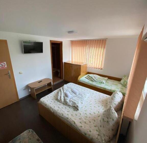 스탠다드 트리플 룸, Pensiunea Floare De Colt