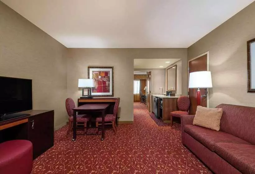 اتاق استاندارد با تخت بزرگ, Embassy Suites By Hilton Dallas Frisco Hotel & Convention Center