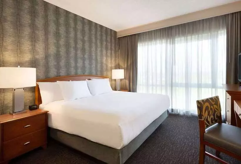 اتاق استاندارد با تخت بزرگ, Embassy Suites By Hilton Dallas Frisco Hotel & Convention Center