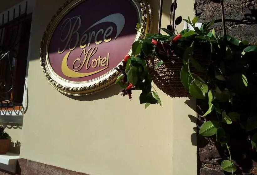 اتاق لوکس یک تخته, Berce