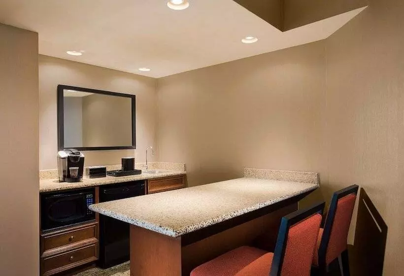 Standard-huone Parivuode, Embassy Suites By Hilton Dallas Frisco Hotel & Convention Center