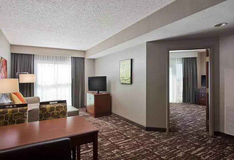 Standard-huone Parivuode, Embassy Suites By Hilton Dallas Frisco Hotel & Convention Center