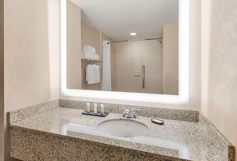 Premium-sviitti, Embassy Suites By Hilton Dallas Frisco Hotel & Convention Center