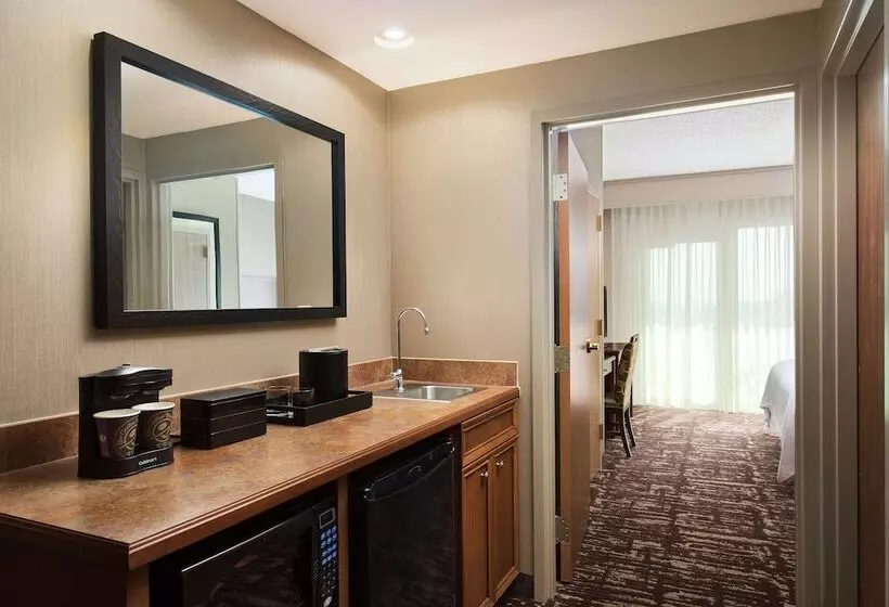 Sviitti, Embassy Suites By Hilton Dallas Frisco Hotel & Convention Center