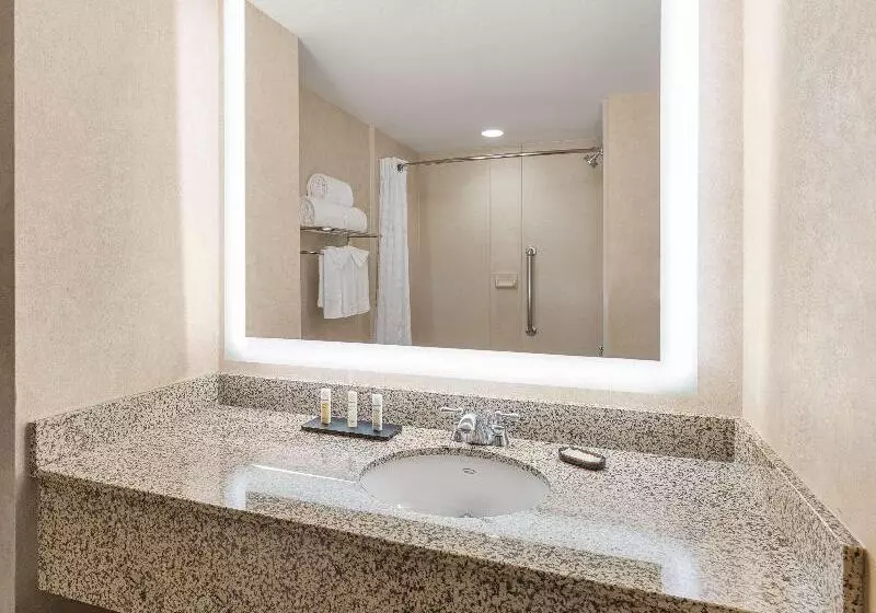 Premium-sviitti, Embassy Suites By Hilton Dallas Frisco Hotel & Convention Center