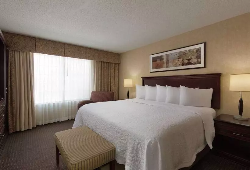 سوئیت برای معلولان, Embassy Suites Lubbock