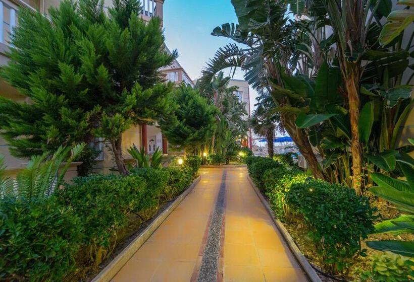 דירת חדר, Futura