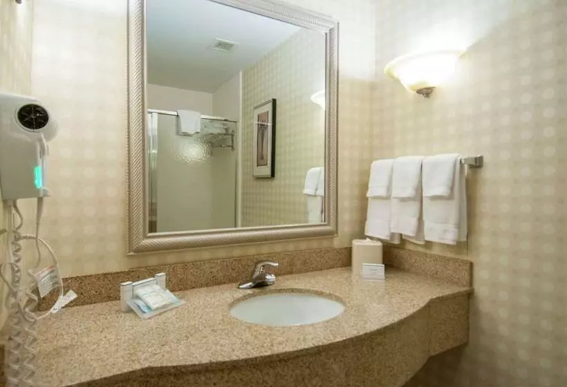 身障者適用スタンダードルーム, Hilton Garden Inn Jackson Pearl