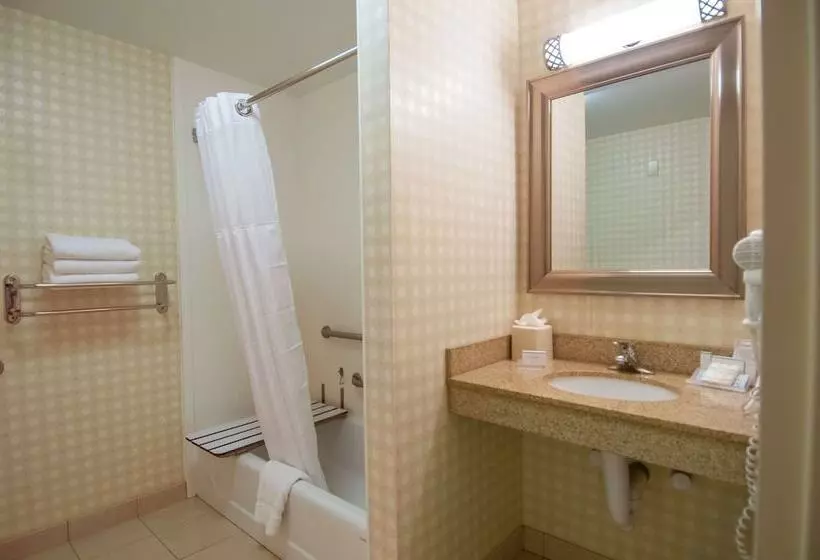 身障者適用スタンダードルーム, Hilton Garden Inn Jackson Pearl